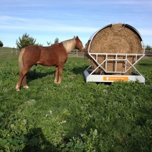 13-Tray Hay Feeder Horse